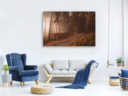 Leinwandbild Orange Beauty In Common Things