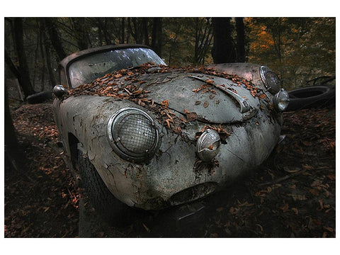 Leinwandbild red forest