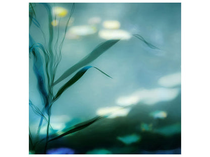 Leinwandbild Ripples In Suzhou