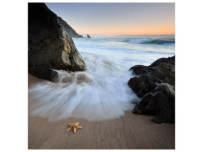 Leinwandbild Summer Flux