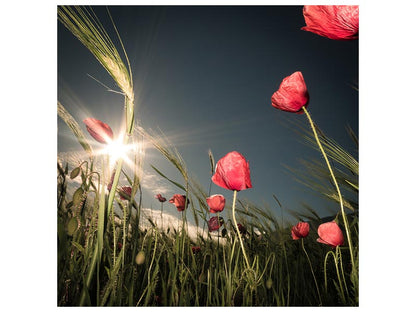 Leinwandbild Summer is Here