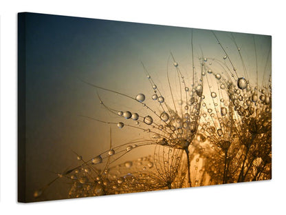 Leinwandbild Tender is the Night