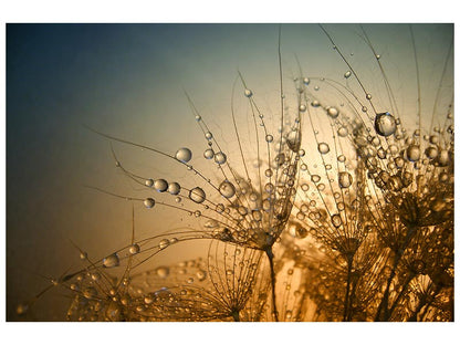 Leinwandbild Tender is the Night