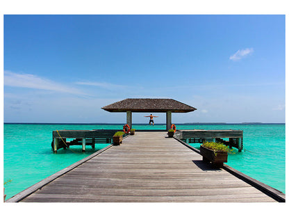 Leinwandbild Die Freiheit am Meer