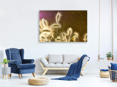 Leinwandbild Das Ziergras