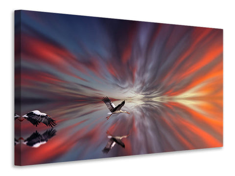 Leinwandbild Die Störche