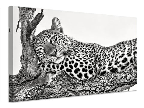 Leinwandbild Time to rest