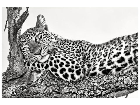 Leinwandbild Time to rest