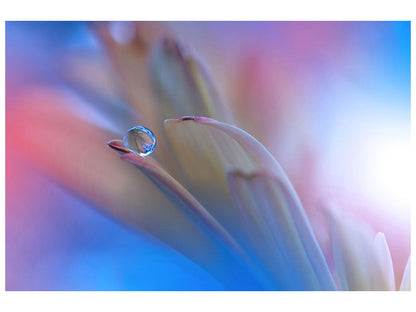 Leinwandbild Touch Me Softly