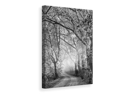 Leinwandbild Tuscan Dream Alley