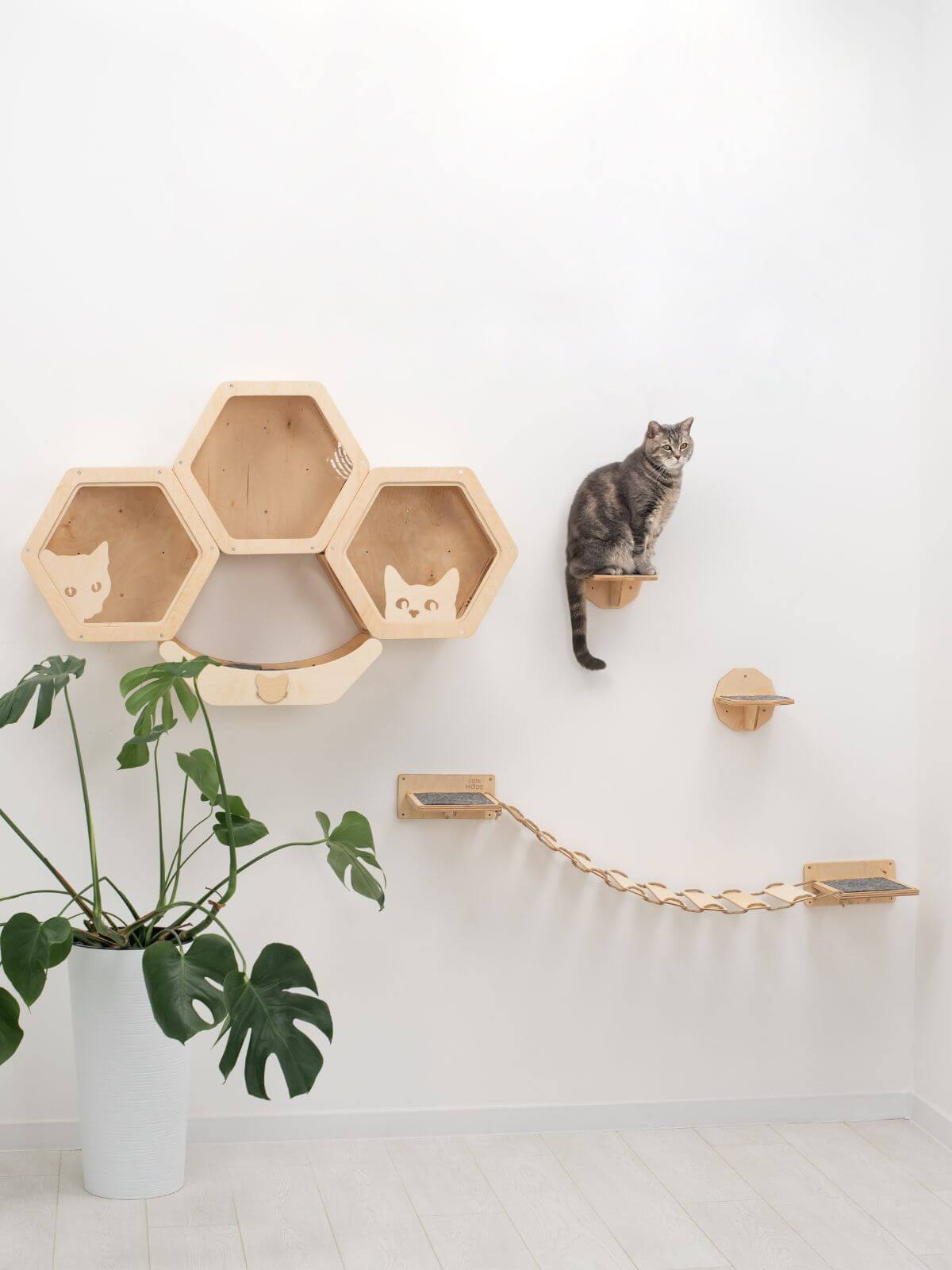 wood and rope cat bridge and walk