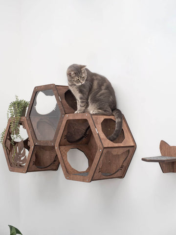 wall shelves for cats to climb