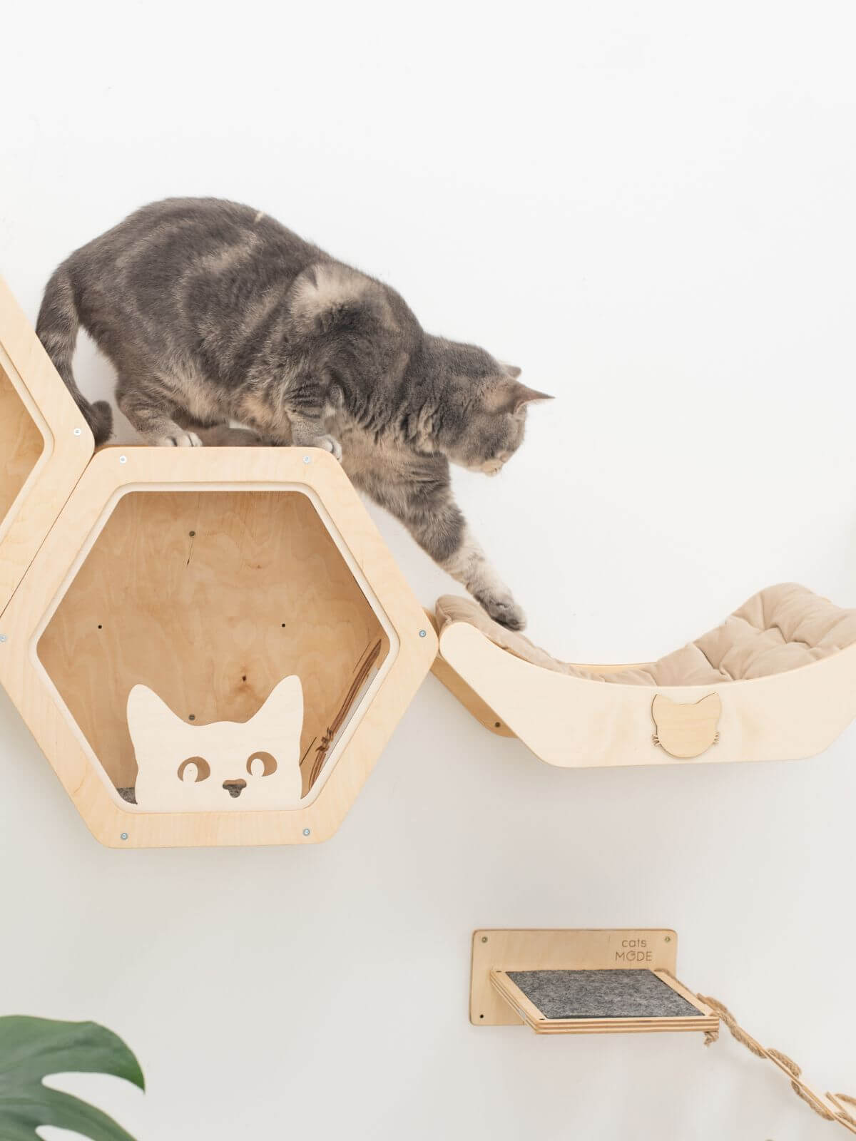 honeycomb cat shelves