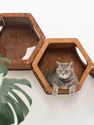 wall shelves for cats to climb