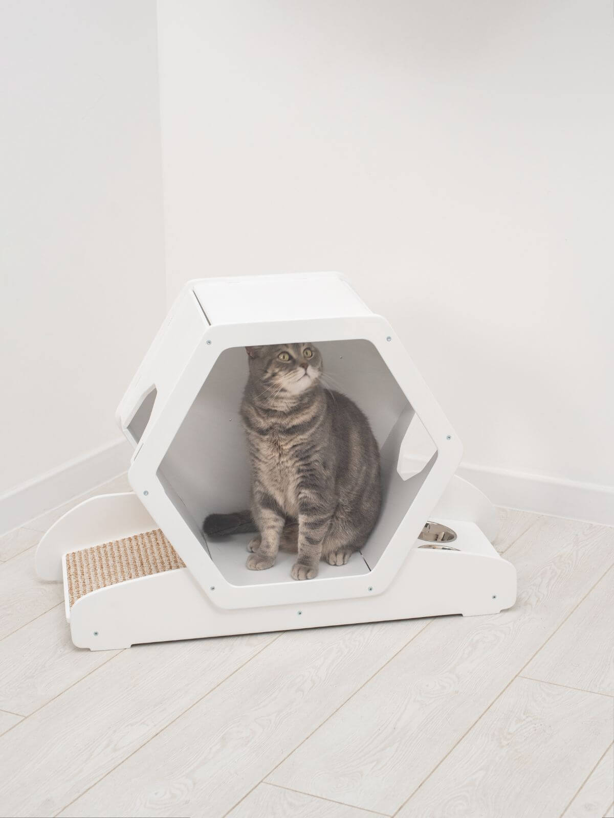 cat feeding bowls on stand