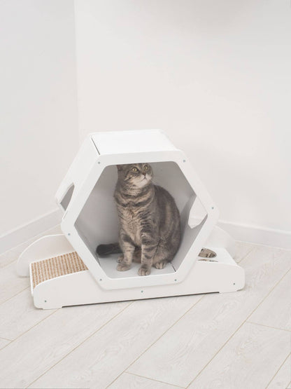cat feeding bowls on stand