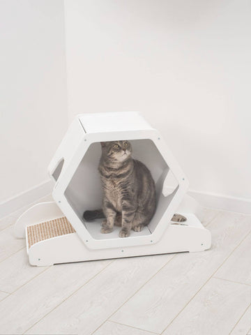 cat feeding bowls on stand