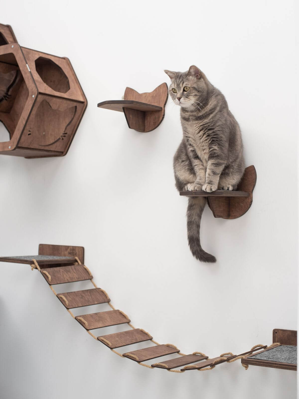 wall steps for cats