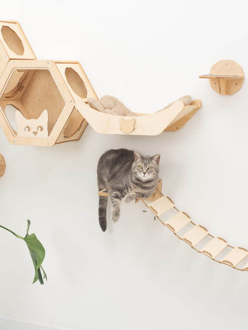 honeycomb cat shelves