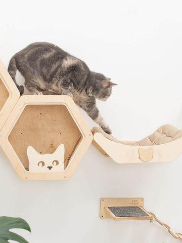 wall shelves for cats to climb