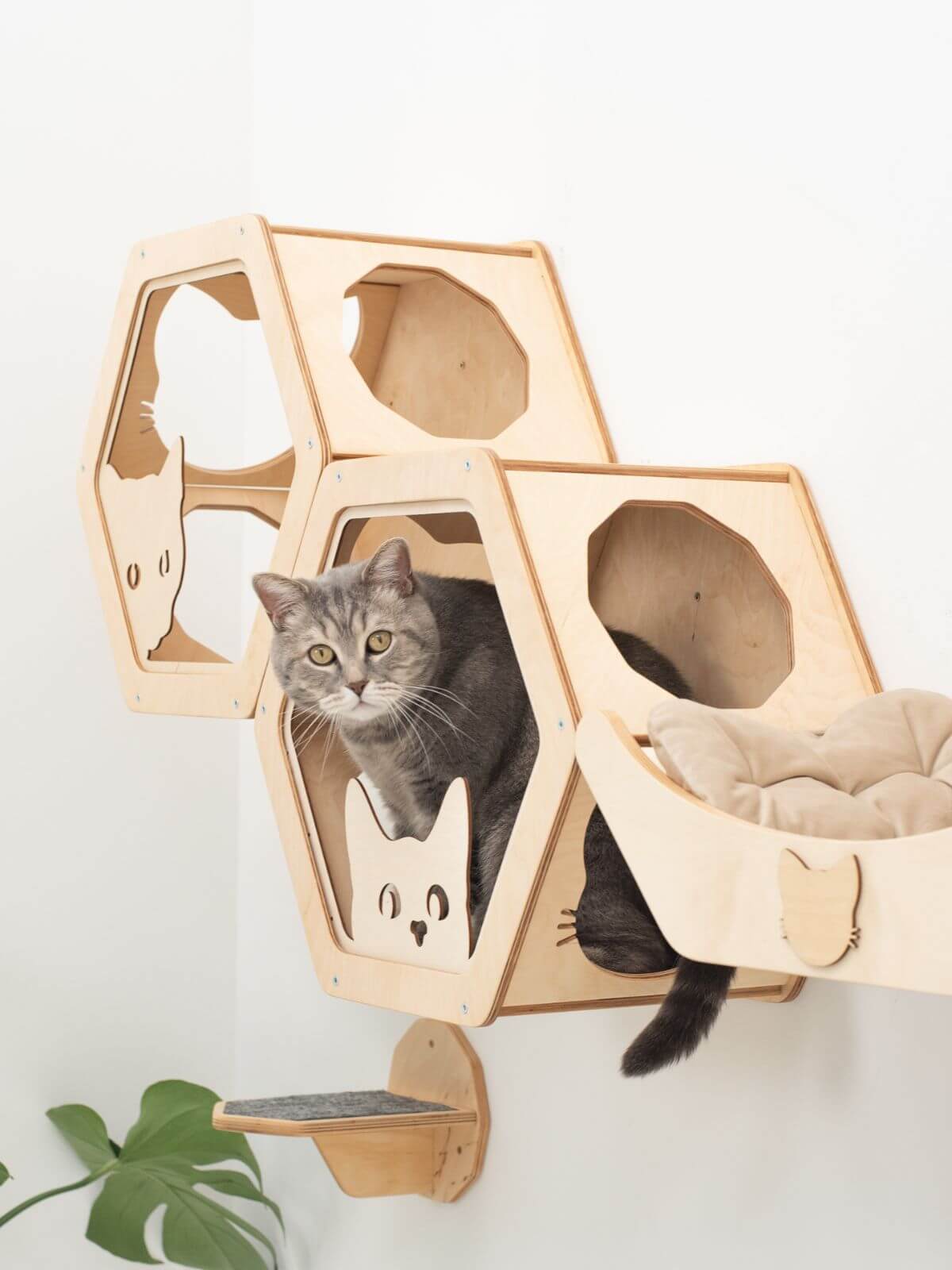wooden cat shelf