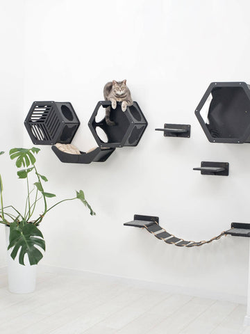 cat shelves wall mounted