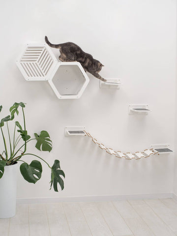 wooden cat shelf