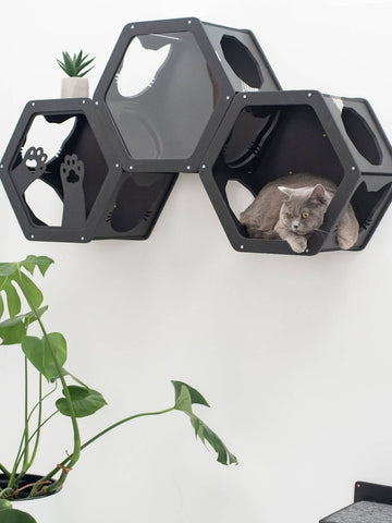 wall mount cat shelves