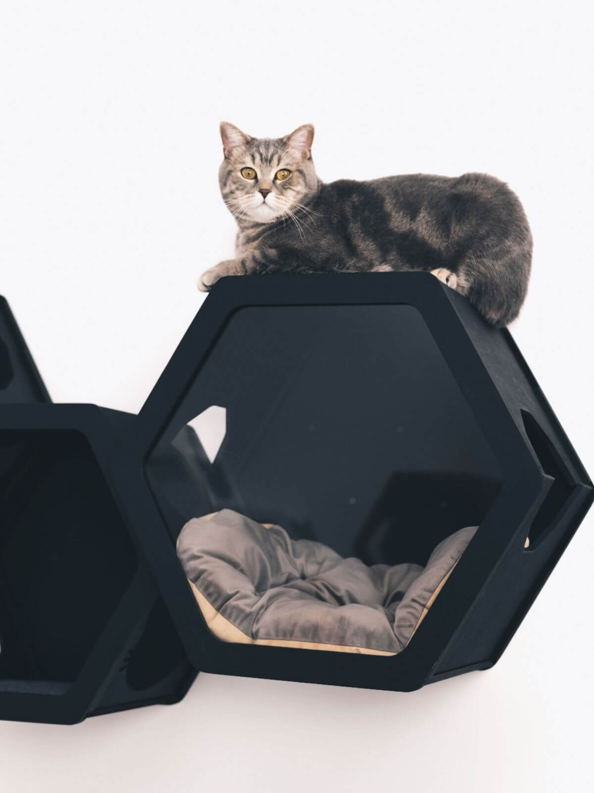 pillow for cats house