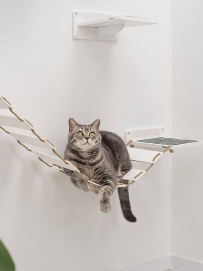 wood and rope cat bridge and walk