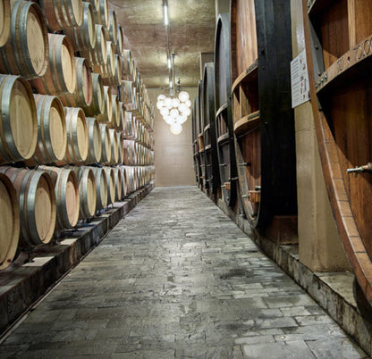 CAVE DE LA CÔTE - Nuits-Saint-Georges AC - 🍷 Vin Rouge Français