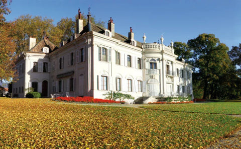 Château de Crans - Gamaret - Bold Red Wine 🍷