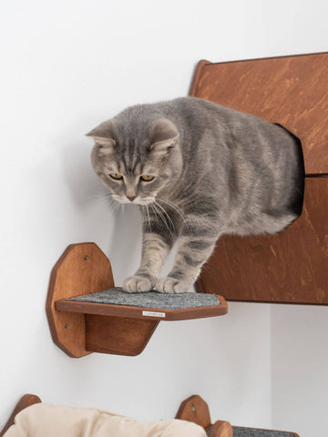 wall climbing steps for cats