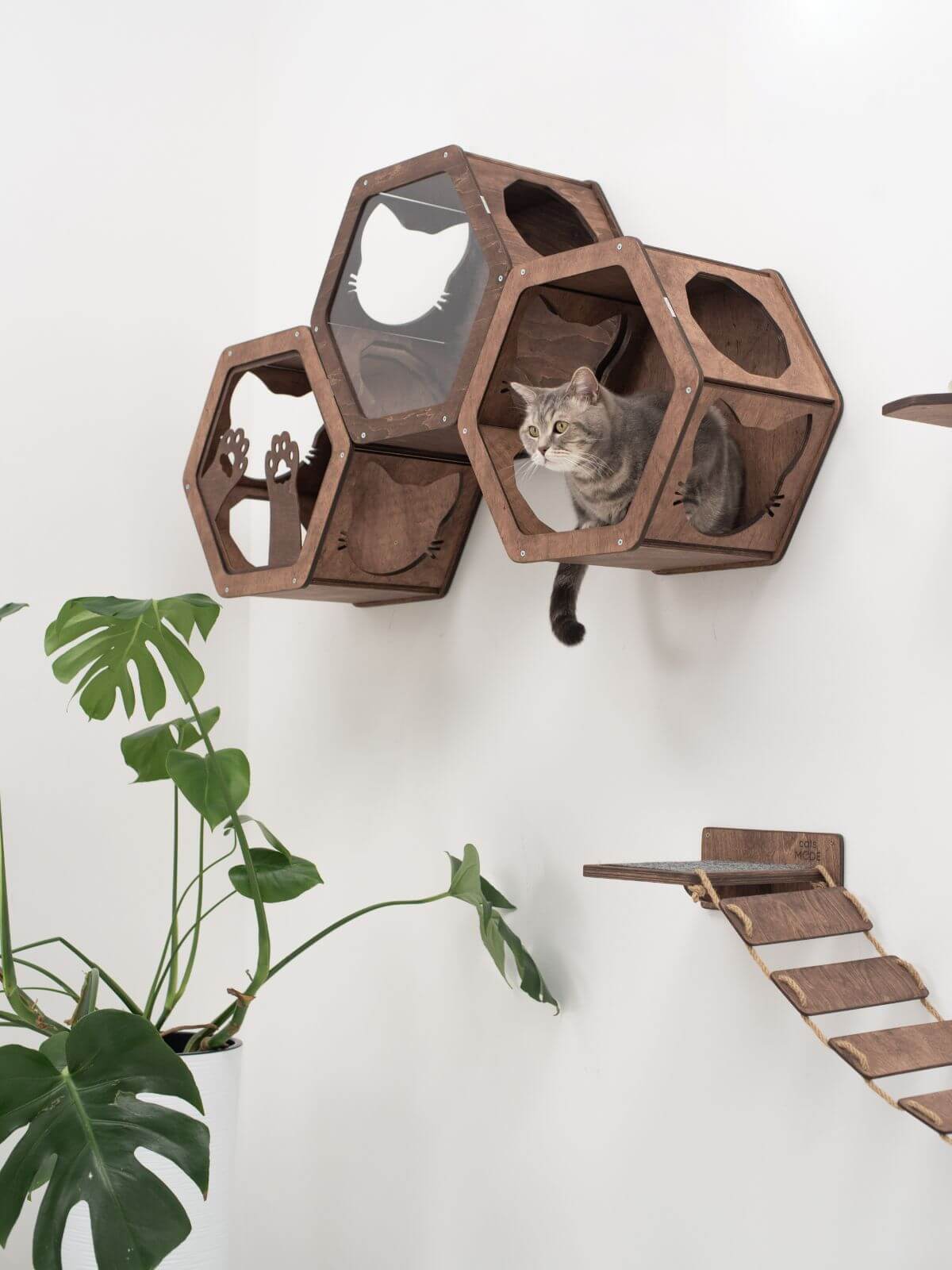 hexagon cat wall shelves