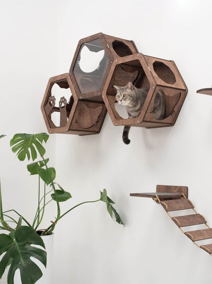 hexagon cat wall shelves