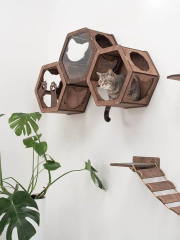 hexagon cat wall shelves