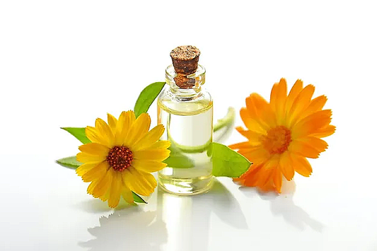 Calendula Macerate – Soothing & Healing 🌼