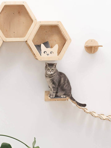 hexagon cat wall shelves
