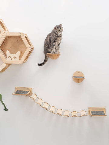 cat stairs for wall