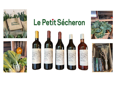 Le Petit Sécheron - MÉLANGE DE CÉPAGES - VIN BLANC - 6x bouteilles