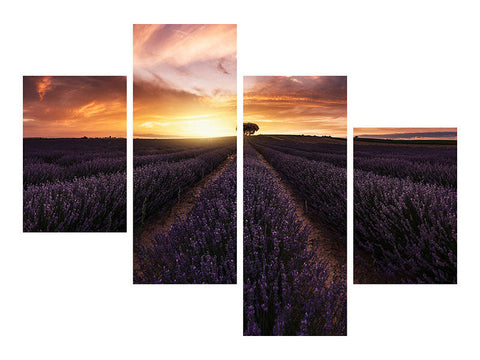 Leinwandbild 4-teilig modern Lavender Sunset