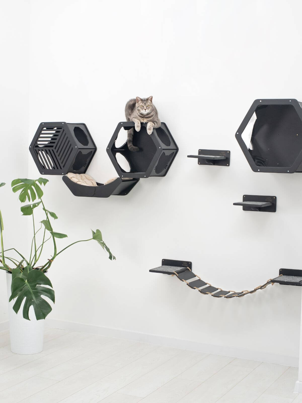 curve wall mounted cat bed
