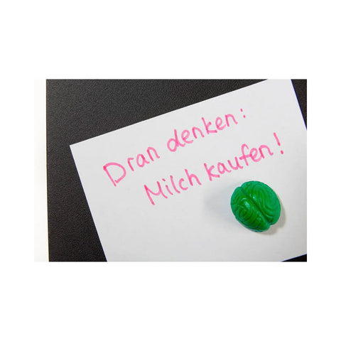Neodym Magnet-Set "Crazy Brain" (12er Set, Gehirn-Set bunt)