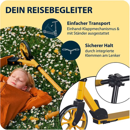 Scooter UP 200
