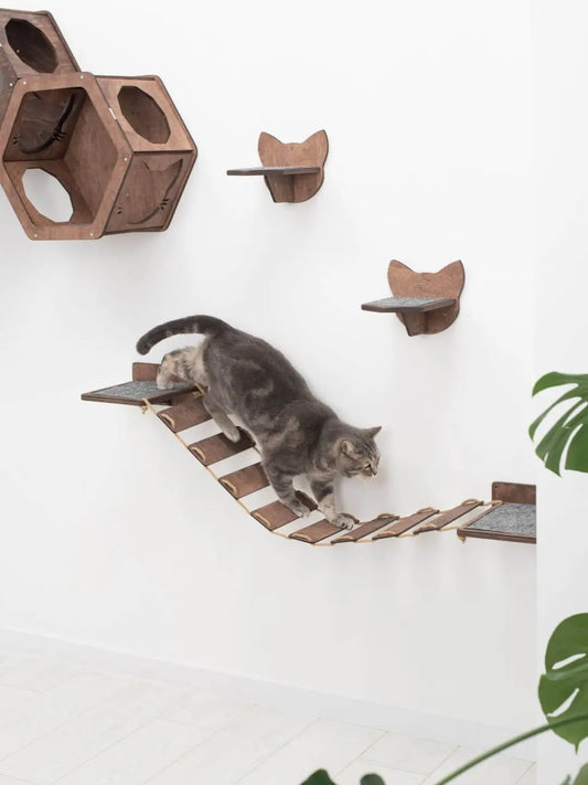 wood and rope cat bridge and walk