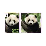 Panda 100 Teile