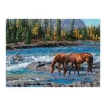 Pferde im Wildwasser 1000 Teile