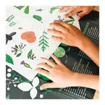 Sticker Lernposter Botanik