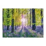 Zarte Glockenblumen im Wald 1000 Teile