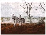 Wildtiere Afrika 3x1000 Teile (Donal Boyd)